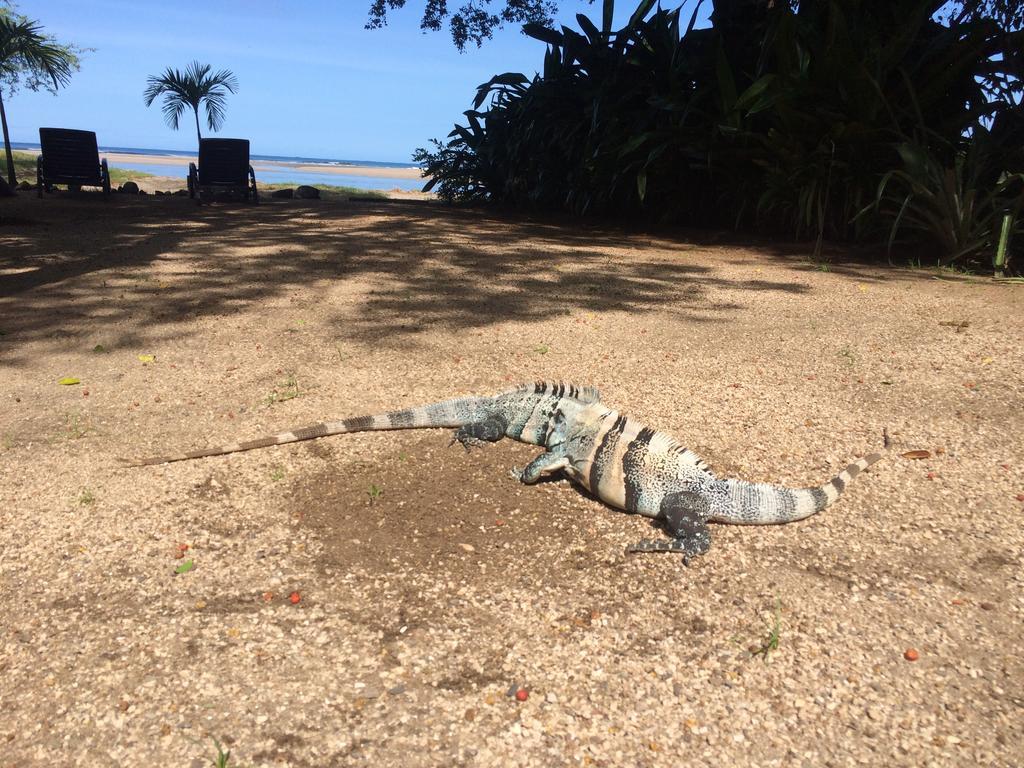 Hotel Casa Blanca Tamarindo Kültér fotó