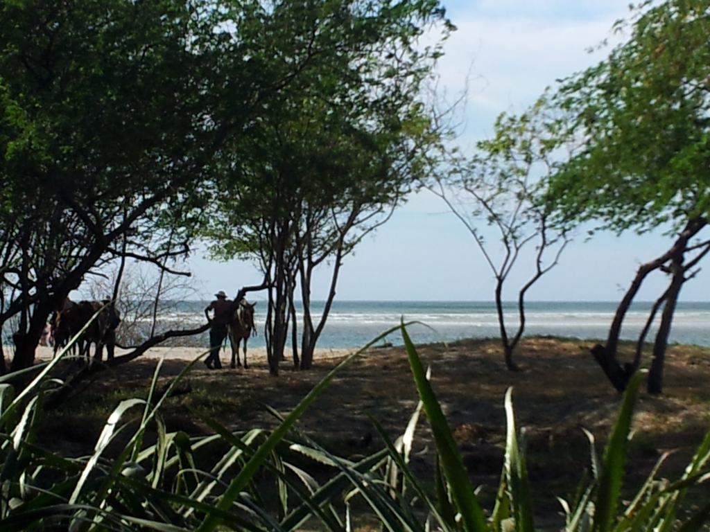 Hotel Casa Blanca Tamarindo Kültér fotó